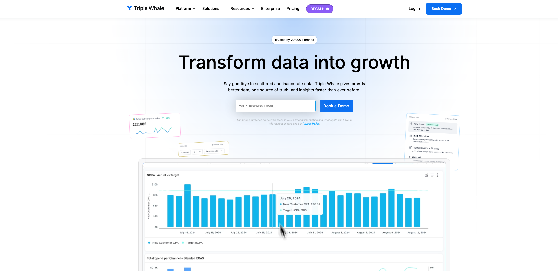 Triple Whale Analytics
