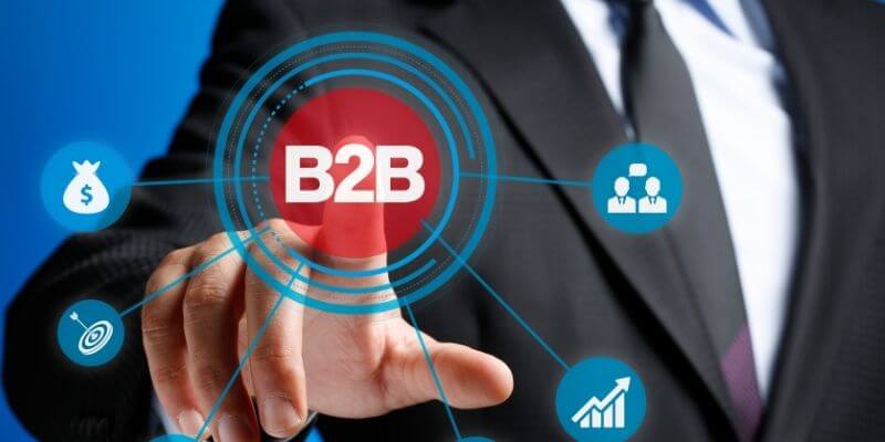 What is a B2B Subscription Business Model?